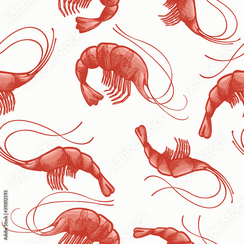 Prawns colored seamless pattern. Hand drawn vector seafood illustration. Engraved style shrimps. Vintage sea food background