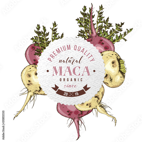 Round emblem with hand drawn maca