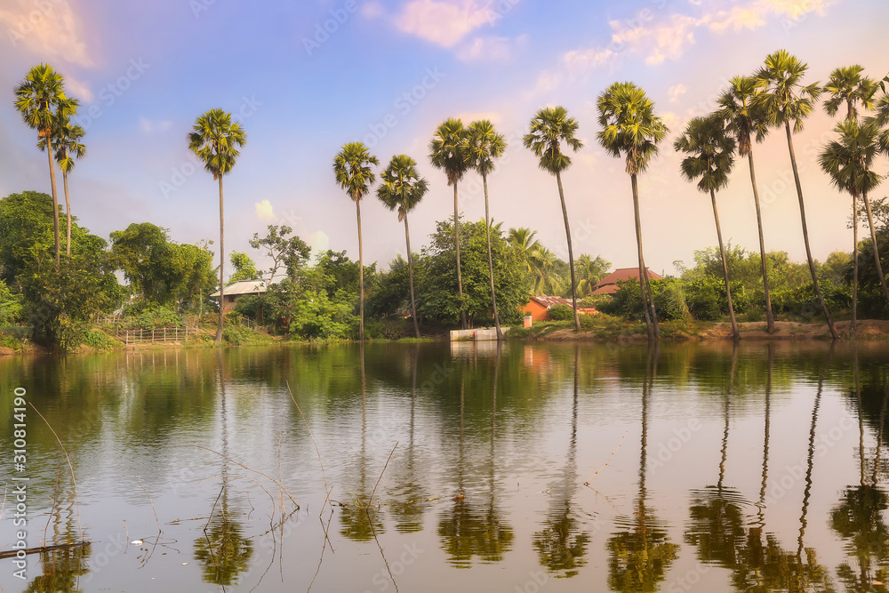 Rural Indian village pond with mud huts and palm trees at sunset Rural Indian village pond with mud huts and palm trees at sunset
