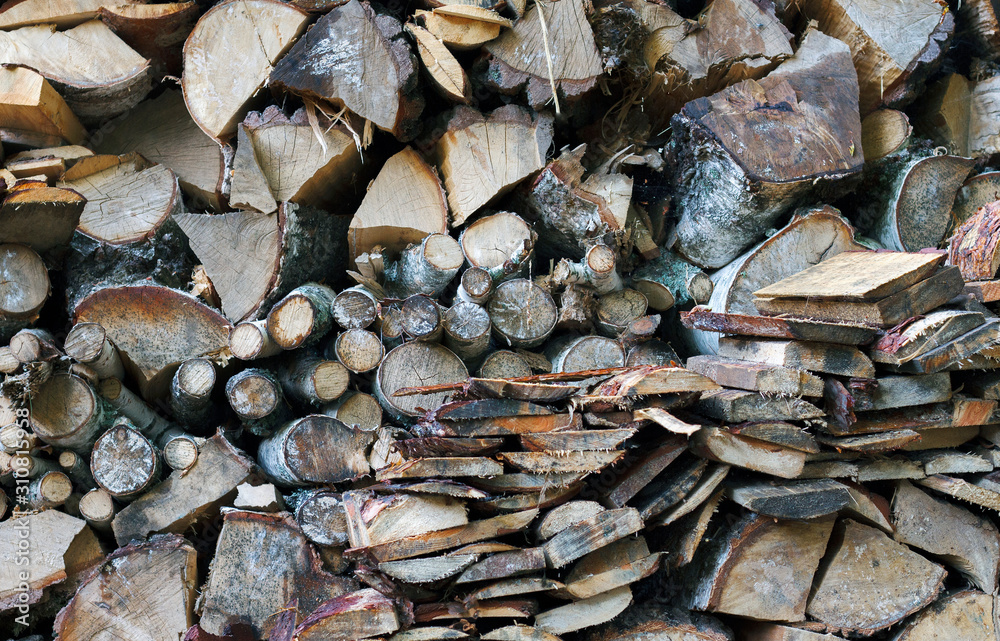 A pile of birch firewood.