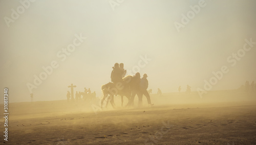 Fotografi Horse riding in the dust, horsemen riding in sandstorm, Sand dune, desert