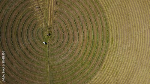 Huge Crop Circles In The Middle Of Field photo