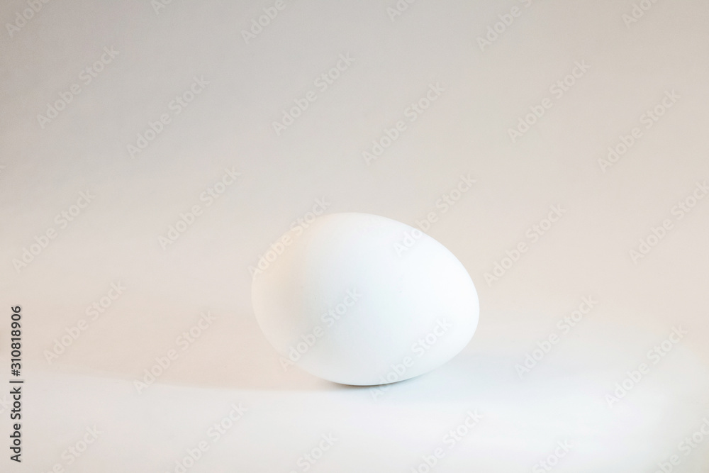 Chicken egg isolated on white background. Close-up of one chicken egg isolated on white background. White Egg. High key Chicken egg isolated on white background. Close-up of one chicken egg isolated on white background. White Egg. High key