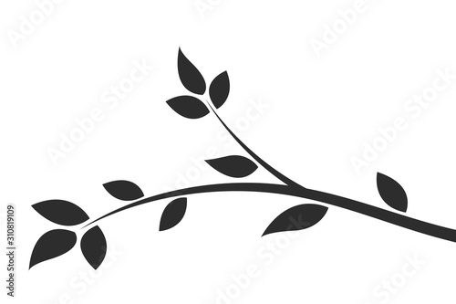Silhouette of a branch with leaves. Young flowering tree. Sapling.