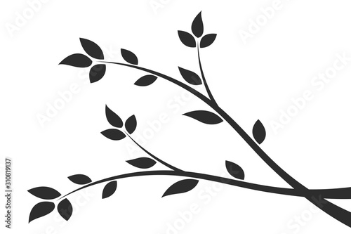 Silhouette of a branch with leaves. Young flowering tree. Sapling.