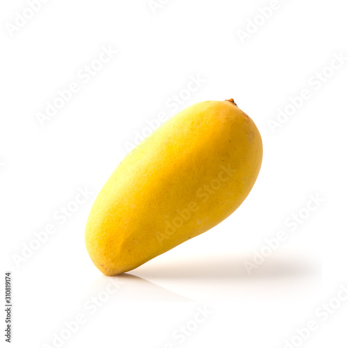 mangos or yellow mangos on a background new.