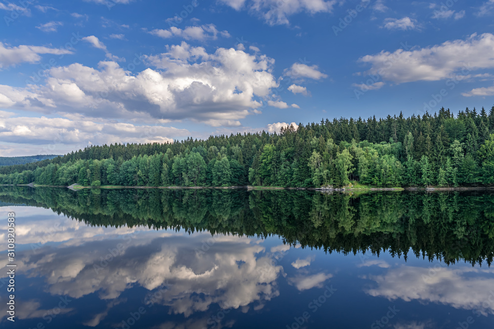 forest lake with blue sky and clouds