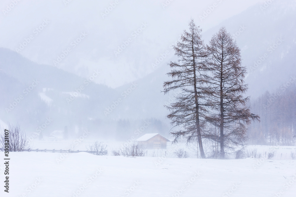 In the storm. Winter Chills in Riva di Tures. Italy In the storm. Winter Chills in Riva di Tures. Italy