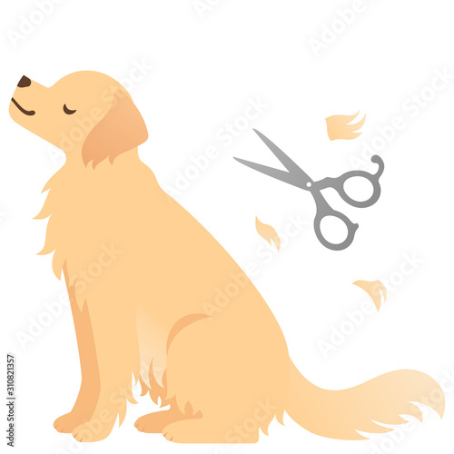 犬のトリミングのイラスト