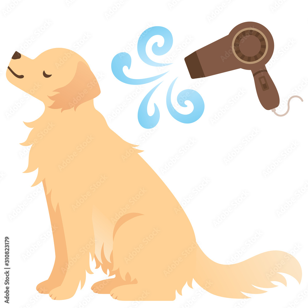 ドライヤーをかけられる犬のイラスト Stock Vector Adobe Stock