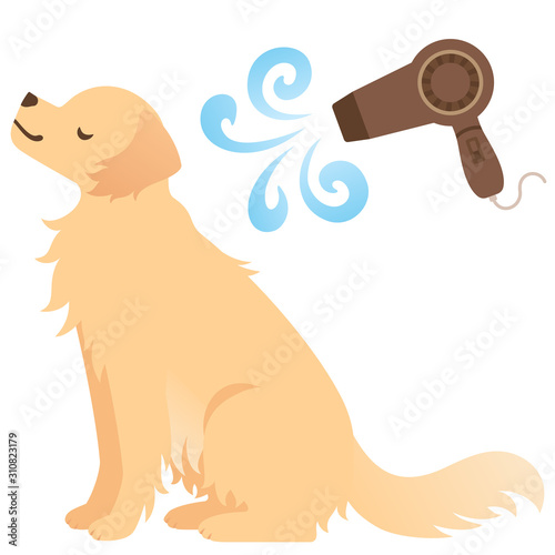 ドライヤーをかけられる犬のイラスト