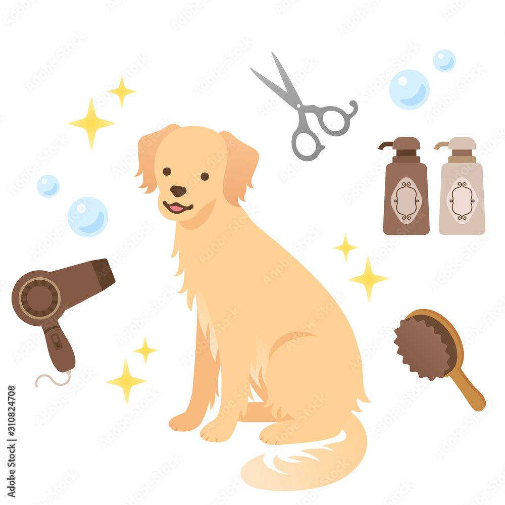 ドッグサロンと犬のトリミングのイメージイラストセット Stock Vector Adobe Stock