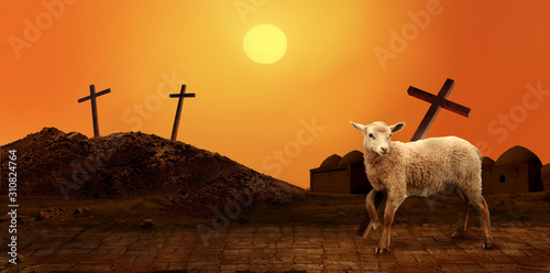 Jesus. Lamb of God. The atoning sacrifice of Jesus Christ