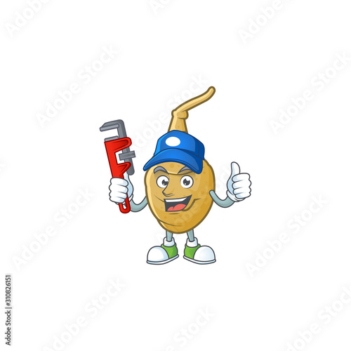 Cool Plumber jerusalem artichoke cartoon character mascot design photo