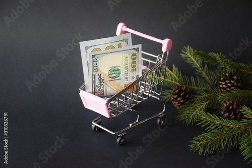 Shopping trolley with 100 dollars on a black background. 100 dollar bill note and Christmas branch in selective focuse. Money growth concept.