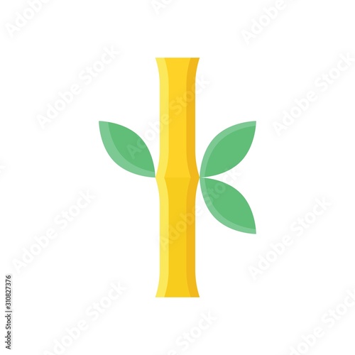 chines bamboo and green leaf vector in flat design