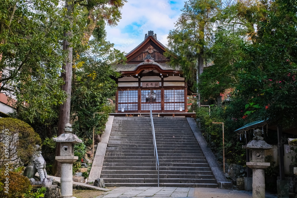京都 宇治神社 参道と拝殿 京都 宇治神社 参道と拝殿