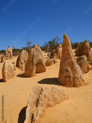The Pinnacles Desert Kalkfelsen