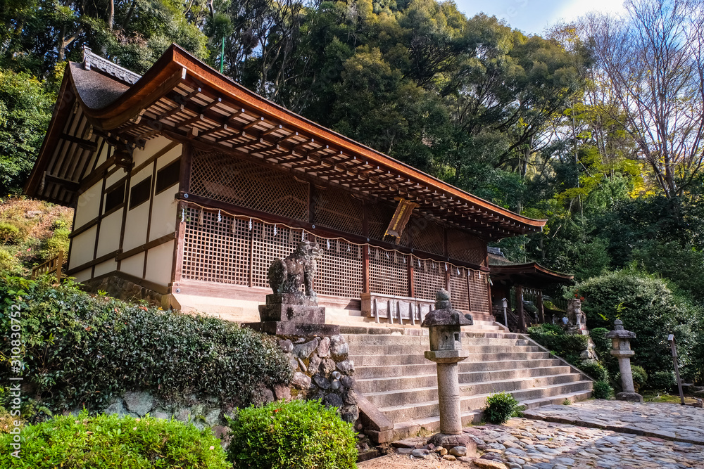 京都 宇治上神社 本殿