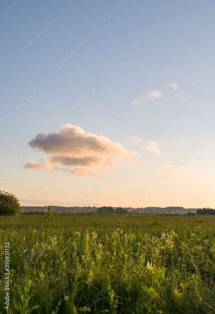 Obraz premium Summer colorful landscape - sunset and river