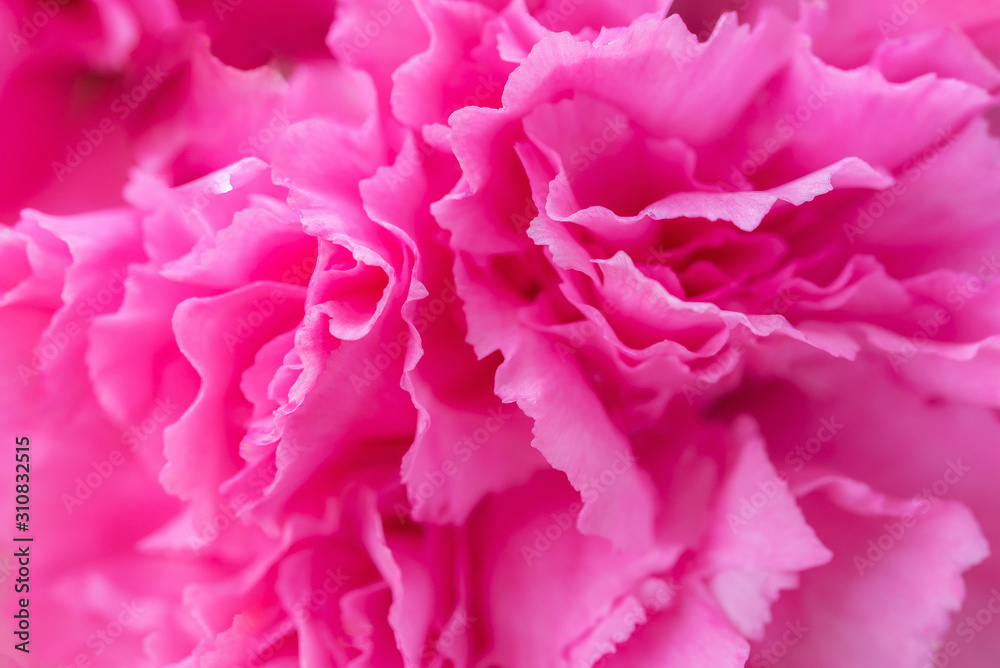 Abstract pink flower background Abstract pink flower background