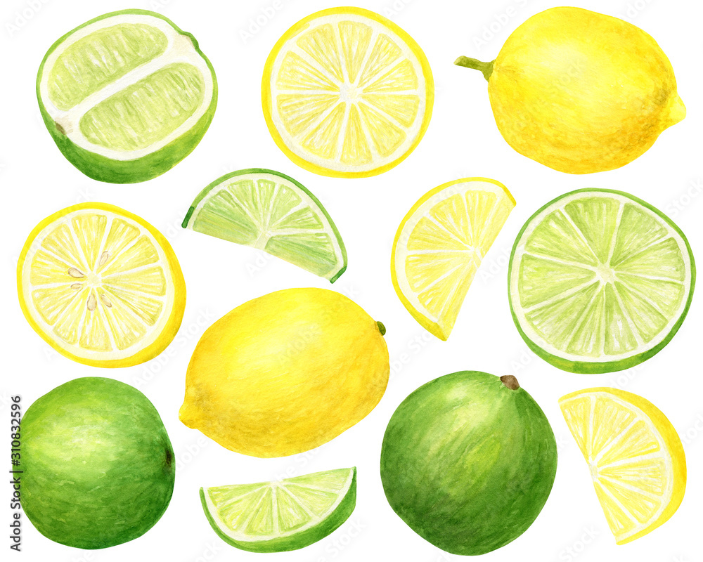 Watercolor fresh lemon and lime set. Hand drawn botanical illustration ...