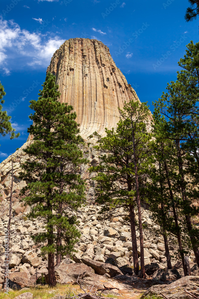 Devil's Tower National Monument on a summer day