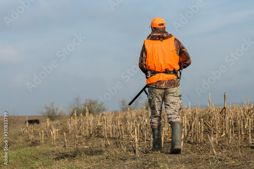 A man with a gun in his hands and an orange vest on a pheasant hunt in a wooded area in cloudy weather. Hunter with dogs in search of game.