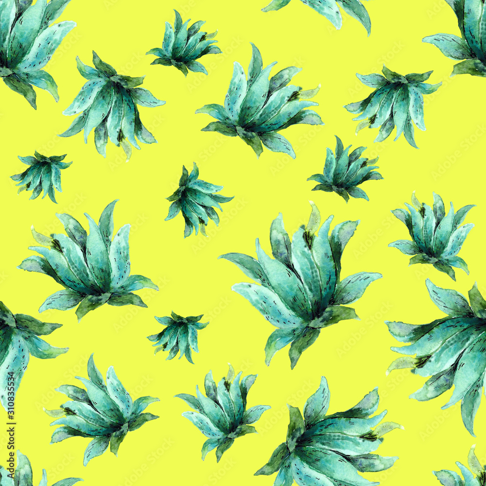 pattern of decorative succulents on a colored background