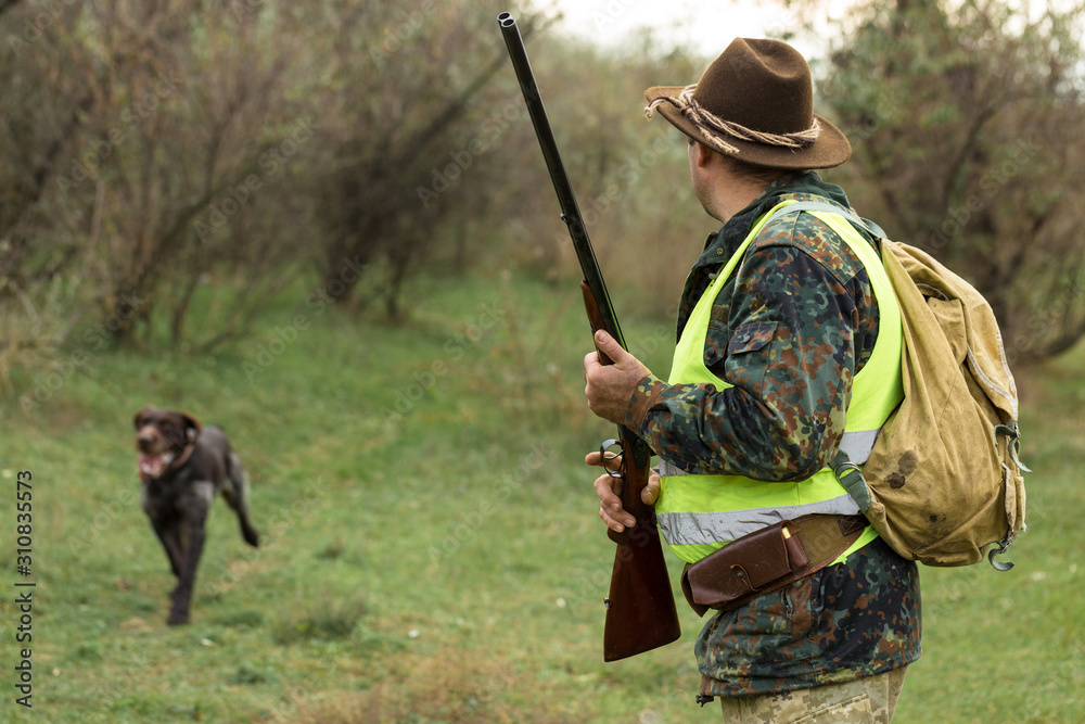 Fototapeta premium Hunting period, autumn season open. A hunter with a gun in his hands in hunting clothes in the autumn forest in search of a trophy. A man stands with weapons and hunting dogs tracking down the game.