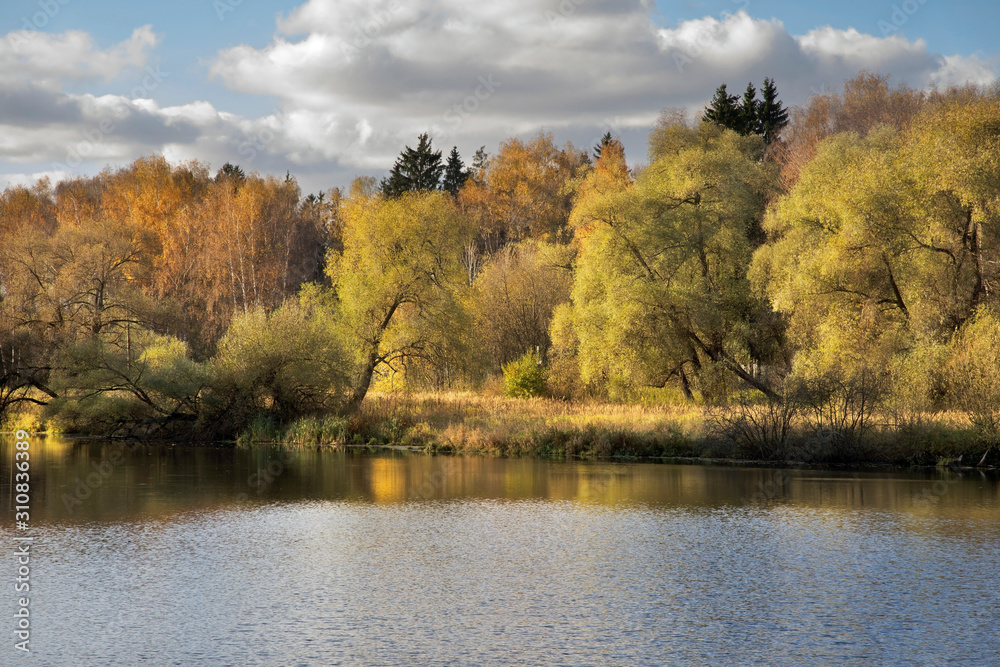 Fototapeta premium Bank of Desna river near Troitsk town - Troitsky administrative okrug of federal city of Moscow. Russia