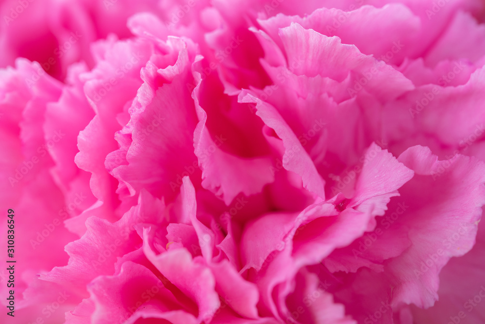 Fototapeta Abstract pink flower background