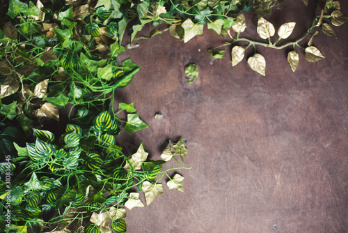 dark background with plants and green petals
