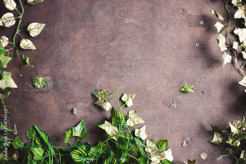 dark background with plants and green petals