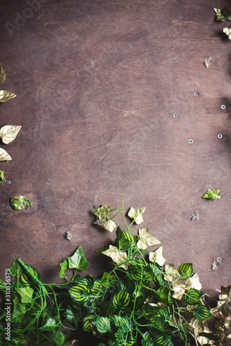 dark background with plants and green petals