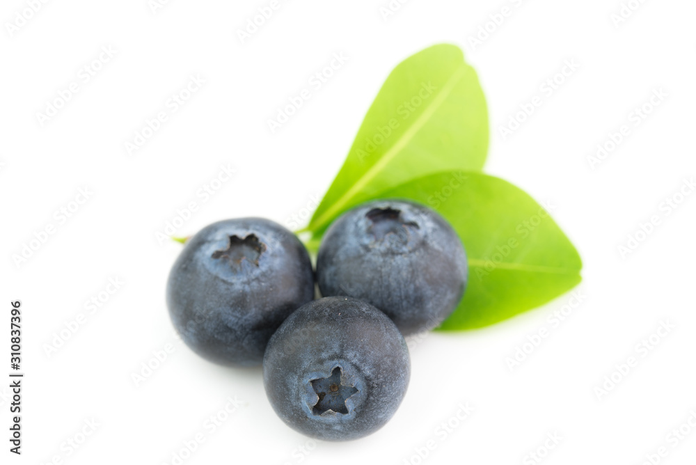blueberries isolated on white background blueberries isolated on white background