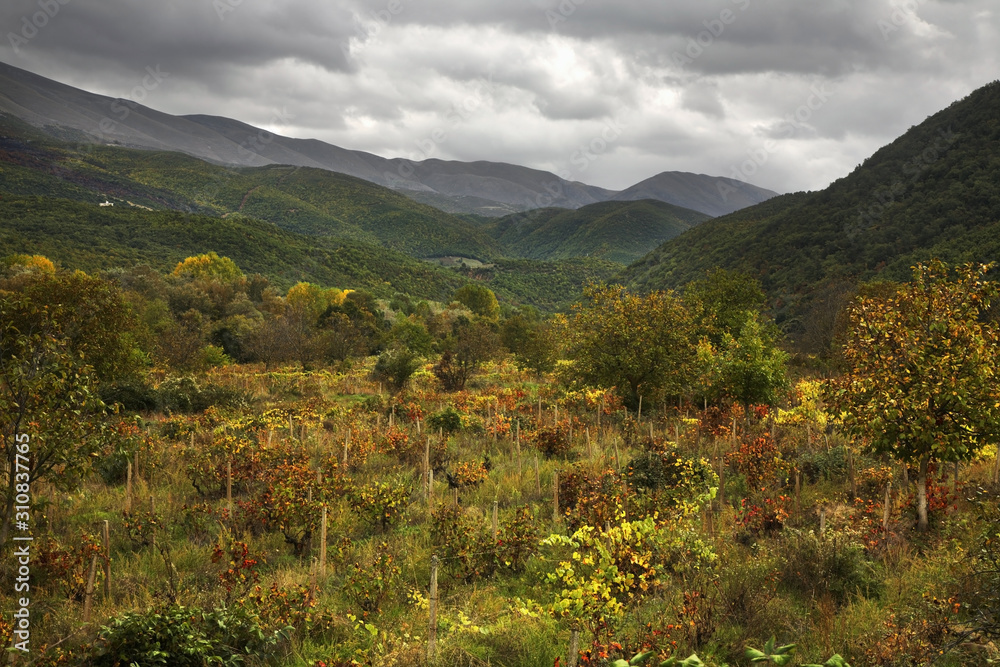 Landscape near Saint Naum. Macedonia