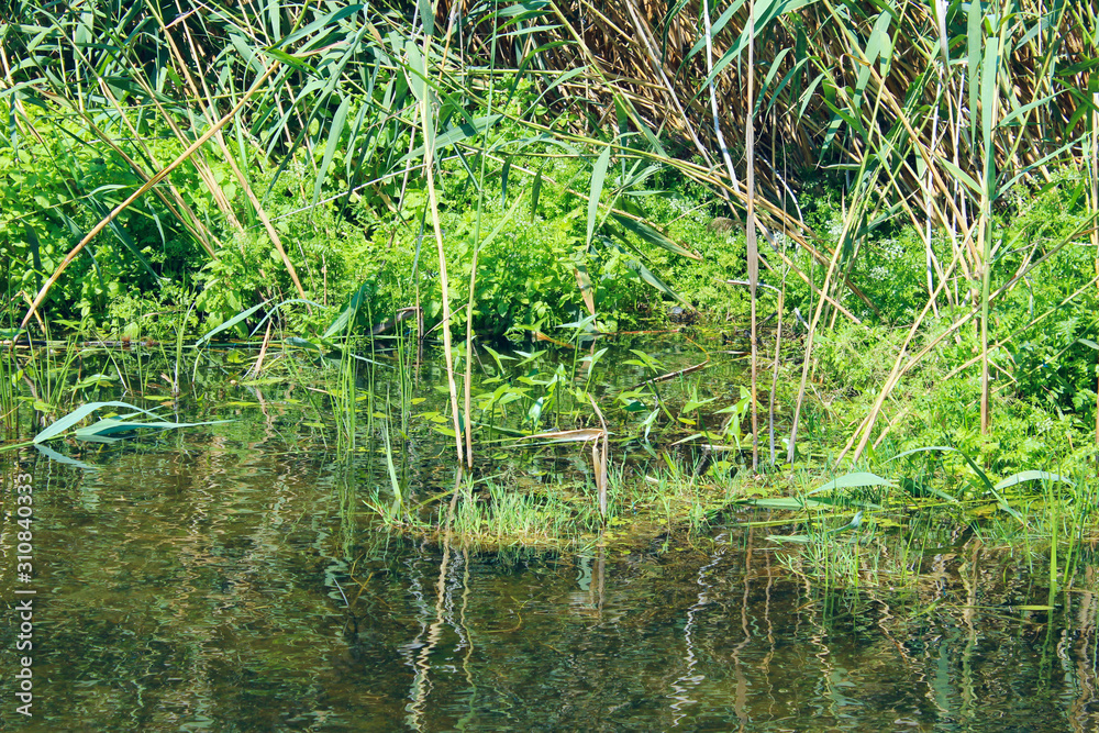 Cropped shot of a lake and grass. Landscape background. Nature, travel, landscapes concept. Cropped shot of a lake and grass. Landscape background. Nature, travel, landscapes concept.