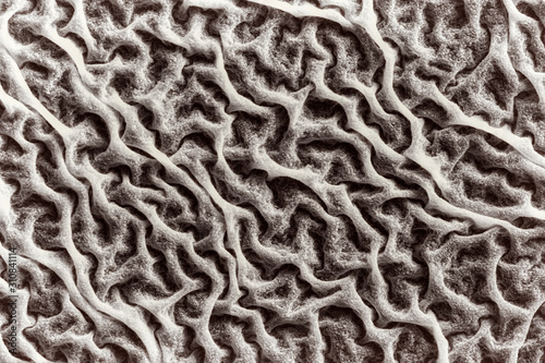 Macro, texture of mold on a liquid surface