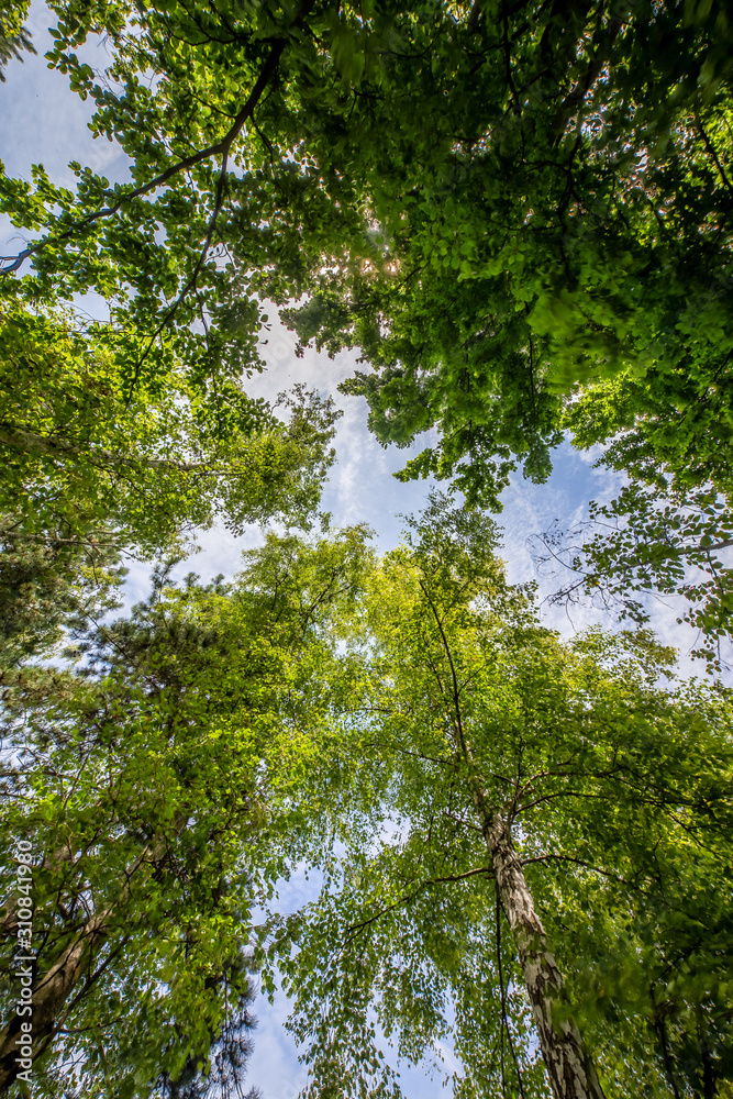 Obraz premium parc georges brassens