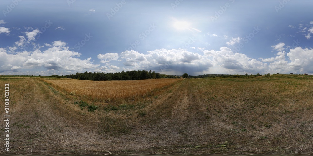 Summer fileds in Poland HDRI Panorama