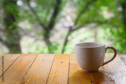  White coffee mugs set on wooden floors with a green backdrop of trees