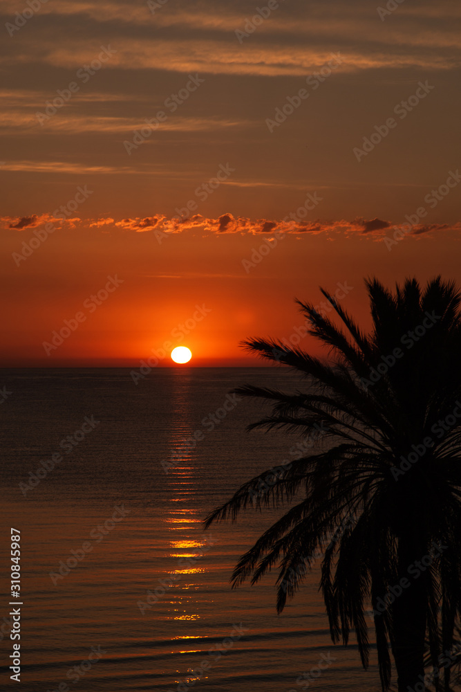 Beautiful sunrise or sunset peaceful nature background. Golden sky, sea water, orange sun and black silhouettes of green plam trees. Vertical color photography.
