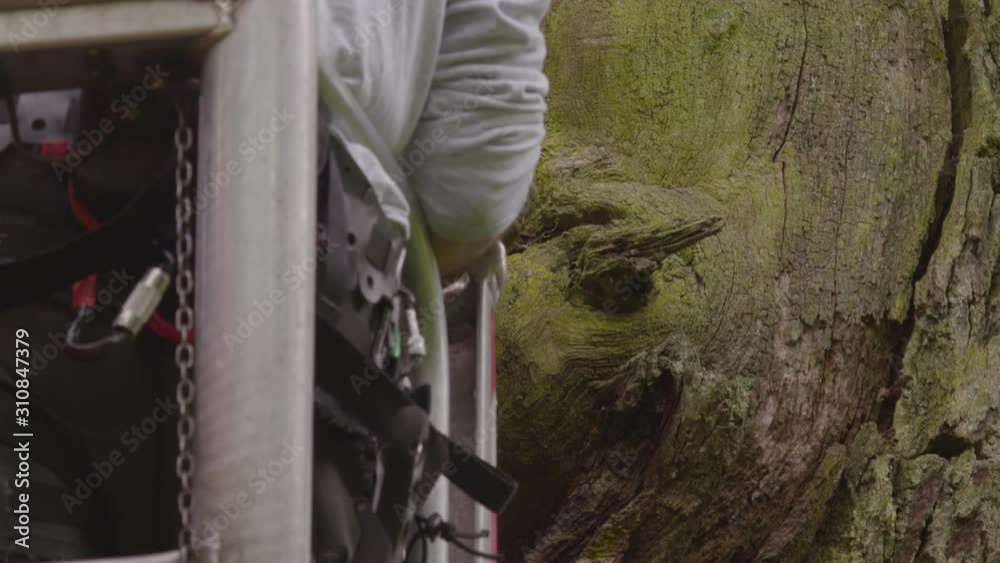 An upward closeup tracking shot of an excavator lift rising up towards a tree An upward closeup tracking shot of an excavator lift rising up towards a tree