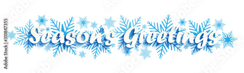 SEASON'S GREETINGS vector typography on blue snowflakes