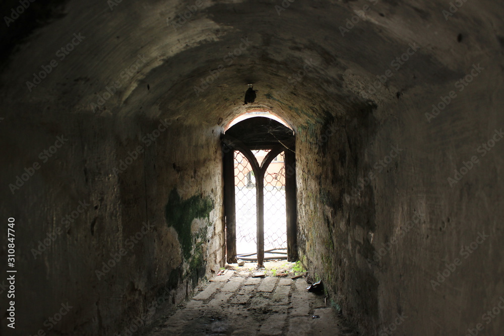Fototapeta premium entrance to the old church