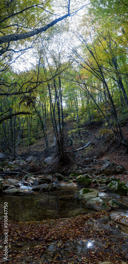 Naklejka premium SONY DSC