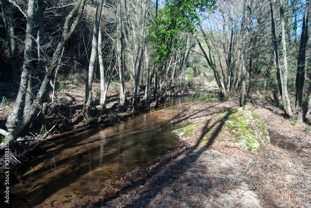 Vista del Rio Ceraxa