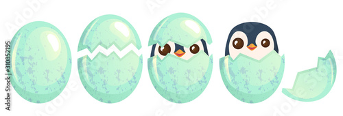 bird egg isolated set