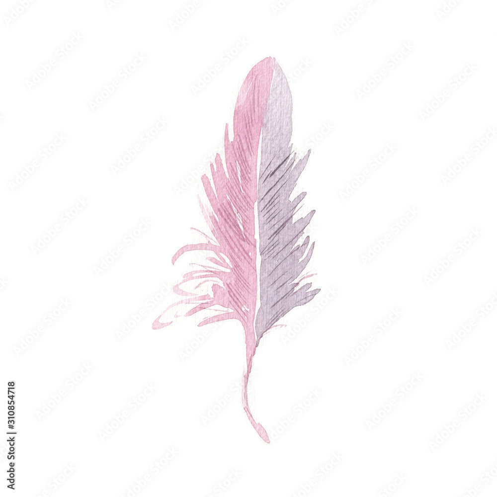 Watercolor feather. Hand-drawn sketch illustration of a bird feather. Isolated on a white background